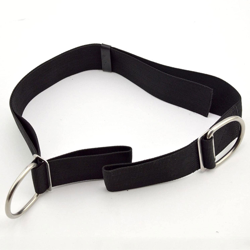Lặn Webbing Đáy Quần Dây Đeo D - đánh giá và giá Universal Tech Accessories